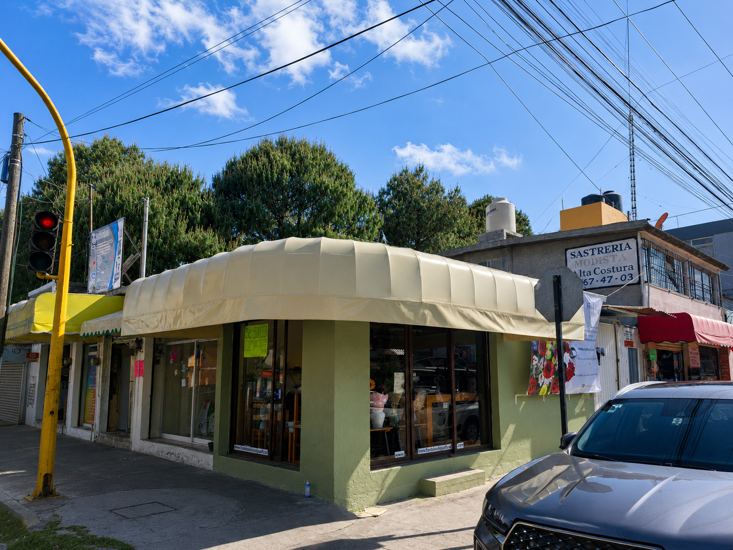 Toldo fijo lona-enrollable-carniceria