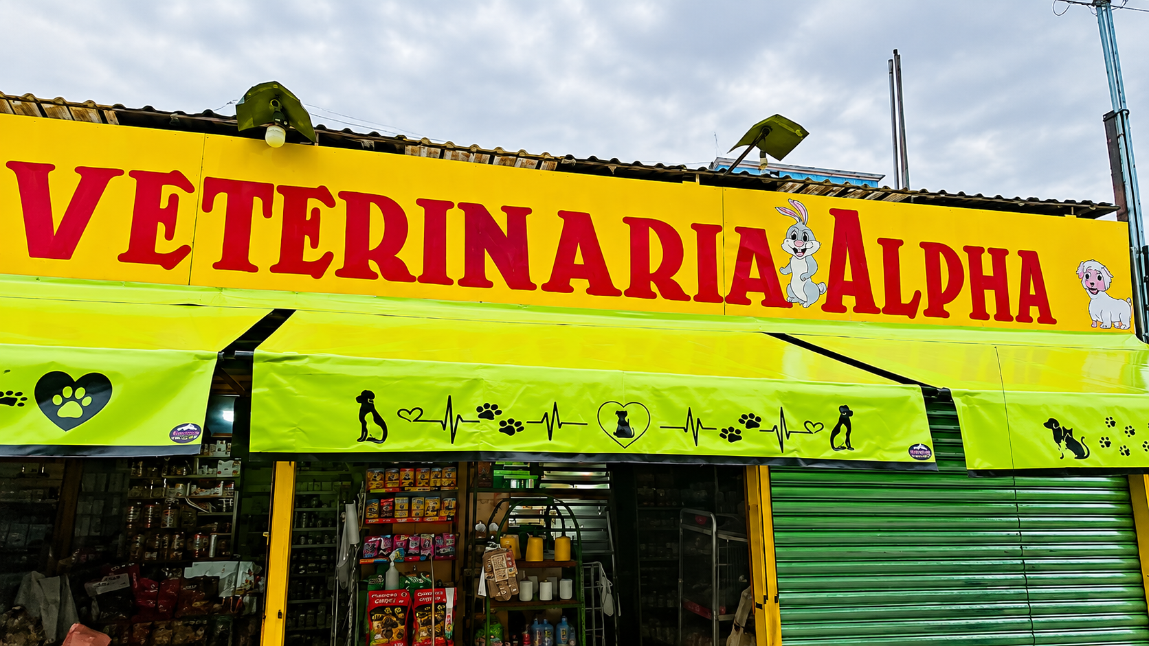 Toldo retractil lona-enrollable-carniceria